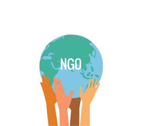 ngo ngo