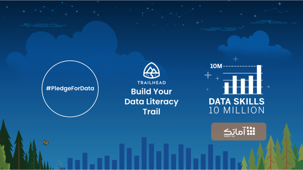 مهارت داده (Data literacy)