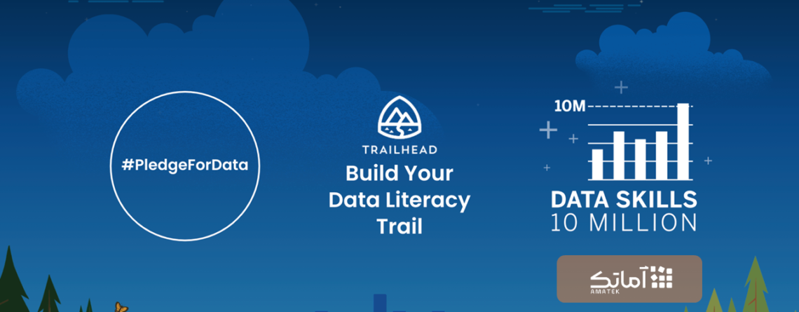 مهارت داده (Data literacy)