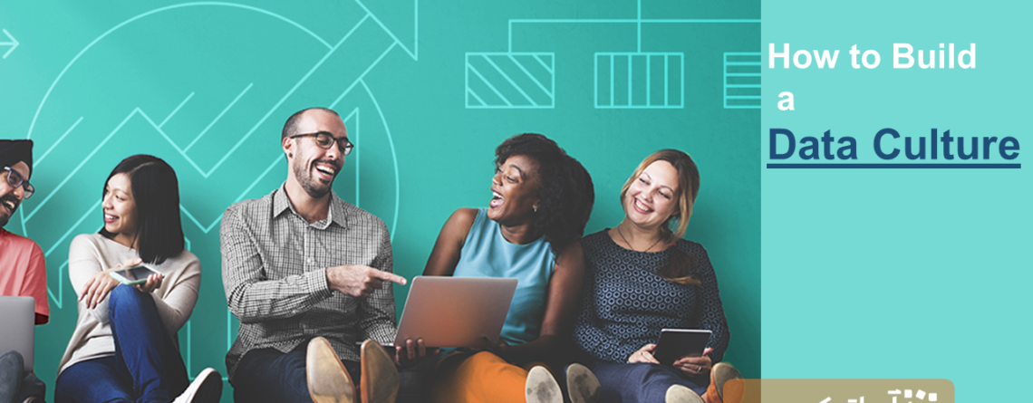 فرهنگ داده (data culture)